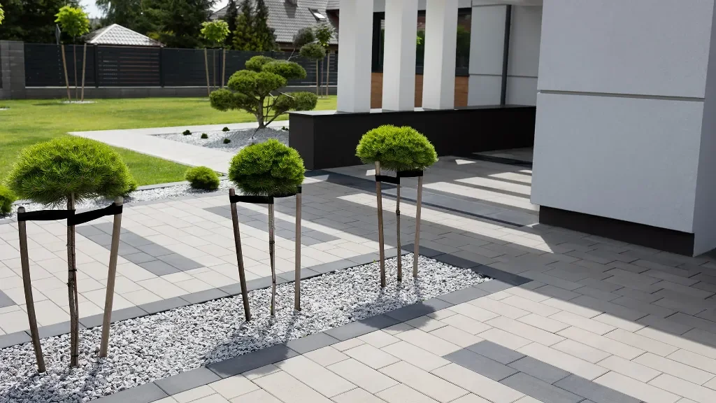 Minimalistyczna elegancja w nowoczesnym stylu